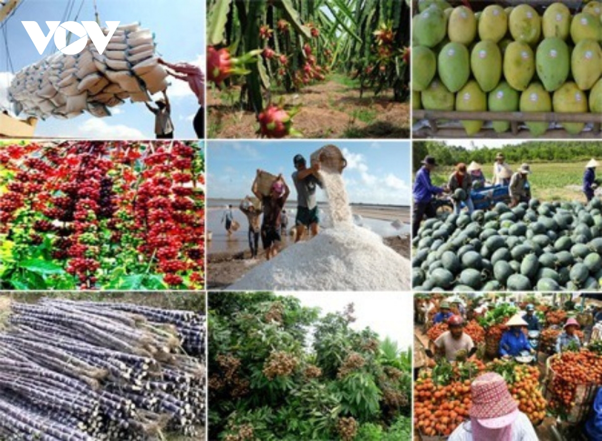 Greater opportunities for Vietnamese goods to EU after three-year EVFTA enforcement
